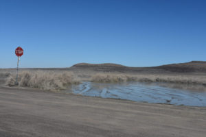 Scenic view of Macari East Stop Sign Pond 2022-01-31, #06, with Lahontan Mountains in distance; has fairy shrimp; Stillwater BLM Office