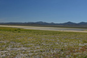 Scenic view of Monitor Playa Lake 2019-07-10, #01, with Monitor Range in distance; has fairy shrimp; Mount Lewis BLM Office