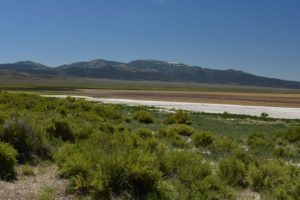 Scenic view of Monitor Playa Lake 2019-07-10, #02, with Table Mountain in distance; has fairy shrimp; Mount Lewis BLM Office