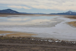 Scenic view of Monitor Playa Lake 2022-03-02, #02; may or may not have fairy shrimp; Mount Lewis BLM Office