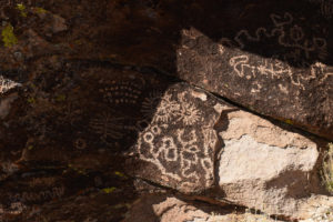 Mount Irish Petroglyph 2018-03-30, #26, with various figures; Caliente BLM Office, Basin and Range National Monument