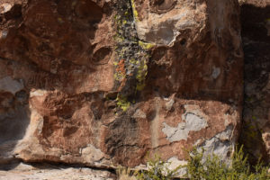 Mount Irish Petroglyph 2018-03-30, #27, with various figures; Caliente BLM Office, Basin and Range National Monument