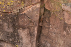 Mount Irish Petroglyph 2018-03-30, #28, with likely fairy shrimp; Caliente BLM Office, Basin and Range National Monument