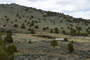 Scenic view of Pegleg Breached Dam Stock Pond 2019-05-09, #59; lacks fairy shrimp; Surprise BLM Office