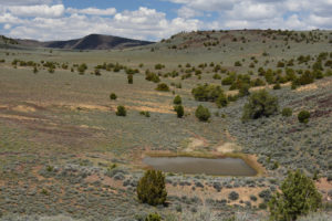 Scenic view of Pegleg Butterfly Stock Pond 2019-05-09, #56; lacks fairy shrimp; Surprise BLM Office