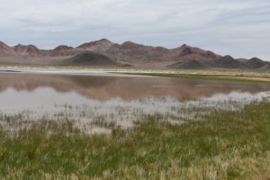 Scenic view of Rawhide Hot Spring Lake 2021-05-25, #01, with Fissure Ridge in distance and avocets; lacks fairy shrimp; Stillwater BLM Office