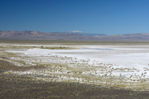 Scenic view of Rawhide Hot Spring Lake 2021-05-25, #12, with Mt. Grant on horizon; lacks fairy shrimp; Stillwater BLM Office