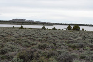 Scenic view of "SOB Lake" 2019-05-08, #43, with Rowland Mountain in distance; has fairy shrimp; Surprise BLM Office