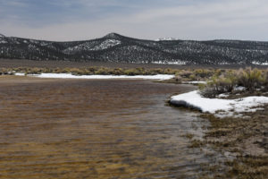 Scenic view of Snowmelt Swales Ponds 2019-03-25, #02, with Wassuk Range in distance, has fairy shrimp; Bridgeport Ranger District, Humboldt-Toiyabe National Forest