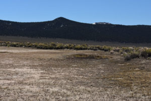 Scenic view of Snowmelt Swales Ponds 2019-04-18, #08, with Wassuk Range in distance, has fairy shrimp; Bridgeport Ranger District, Humboldt-Toiyabe National Forest