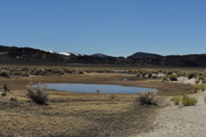 Scenic view of Snowmelt Swales Ponds 2019-04-18, #17, with Wassuk Range in distance, has fairy shrimp; Bridgeport Ranger District, Humboldt-Toiyabe National Forest