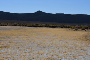 Scenic view of Snowmelt Swales Ponds 2021-04-02, #03, with Wassuk Range in distance, dry; Bridgeport Ranger District, Humboldt-Toiyabe National Forest