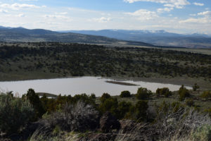 Scenic view of "Steer Lake" 2019-05-07, #19, with Warner Mountains in distance; has fairy shrimp; Surprise BLM Office