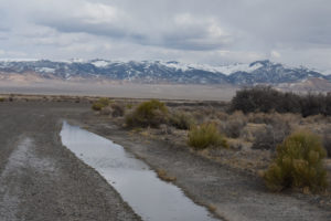 Scenic view of West Northumberland Road Pond #1 2019-03-19, #01, with Toquima Range in distance; has fairy shrimp; Mount Lewis BLM Office