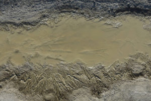 Pond view of West Northumberland Road Pond #10 2022-03-01, #22, with ice crystal molds; lacks fairy shrimp; Mount Lewis BLM Office