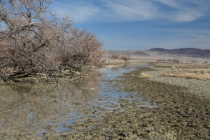 Scenic view of Wildcat Freight Station Pond 2022-02-09, #33, with Cocoon Mountains in distance; lacks fairy shrimp; Nevada Department of Wildlife-