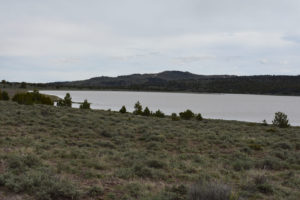 Scenic view of "Willow Lake" 2019-05-08 #41; has fairy shrimp; Surprise BLM Office