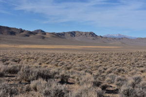 Scenic view of Win Wan Flat with Win Wan Corral Pond 2018-02-08, #01, Mt. Grant on horizon; dry; Stillwater BLM Office