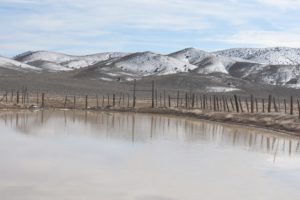 Scenic view of Win Wan Corral Pond 2019-03-14, #01; has ice and fairy shrimp; Stillwater BLM Office