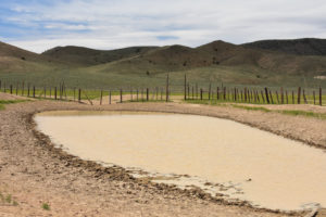 Scenic view of Win Wan Corral Pond 2019-05-18, #02; has fairy shrimp; Stillwater BLM Office