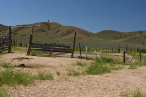 Scenic view of Win Wan Corral Pond 2019-06-21, #04; lacks fairy shrimp; Stillwater BLM Office