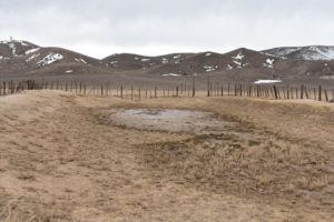 Scenic view of Win Wan Corral Pond 2022-03-17, #04; lacks fairy shrimp; Stillwater BLM Office