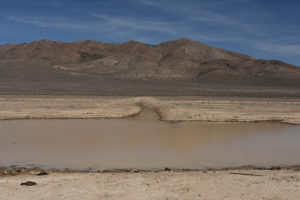 Scenic view of Win Wan Flat West Pond 2022-03-24, #05, with Gabbs Valley Range in the distance; has fairy shrimp; Stillwater BLM Office