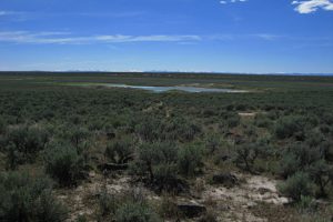 Scenic view of Wolf Creek Northeast Dry Lake 2017-05-23, #10, with Santa Rosa Range on horizon; lacks fairy shrimp; Tuscarora BLM Office