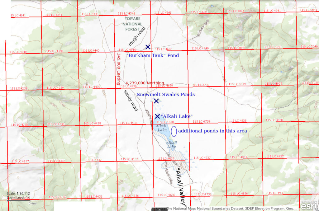 Topographic Map of "Alkali Lake" and nearby ponds; The National Map with contours, roads, perennial/ephemeral water bodies, forest cover, marsh, UTM grid, private land