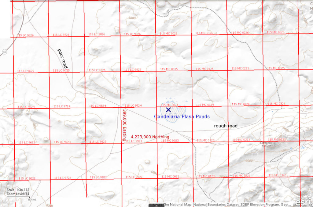 Topographic Map of Candelaria Playa Ponds; The National Map with contours, roads, perennial/ephemeral water bodies, forest cover, marsh, UTM grid, private land