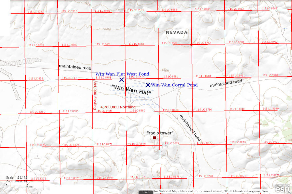 Topographic Map of Win Wan Corral Pond and Win Wan Flat West Pond; The National Map with contours, roads, perennial/ephemeral water bodies, forest cover, marsh, UTM grid, private land