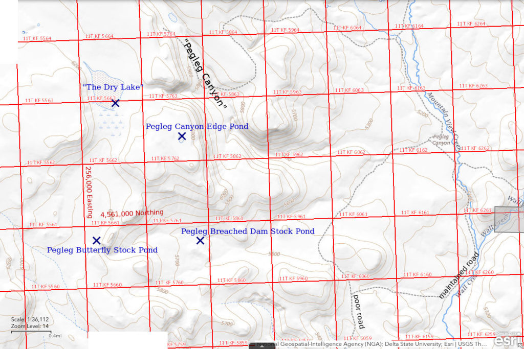 Topographic Map of Pegleg Canyon Edge Pond and nearby ponds; The National Map with contours, roads, perennial/ephemeral water bodies, forest cover, marsh, UTM grid, private land