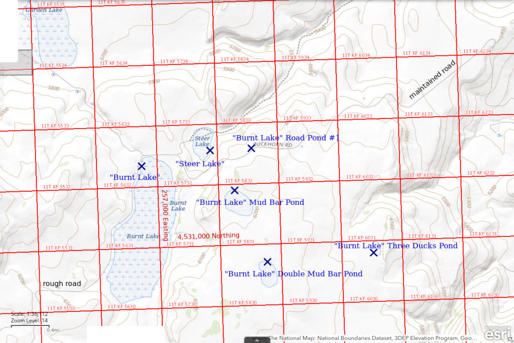 Topographic Map of "Burnt Lake" Road Pond #1 and nearby ponds; The National Map with contours, roads, perennial/ephemeral water bodies, forest cover, marsh, UTM grid, private land