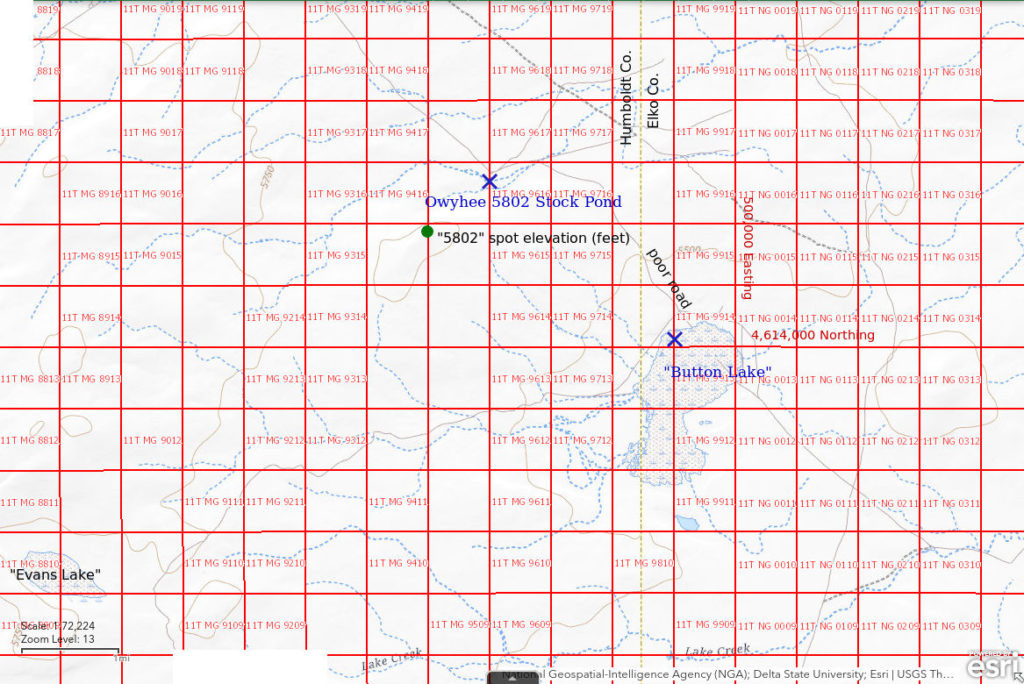 Topographic Map of Owyhee 5802 Stock Pond and "Button Lake"; The National Map with contours, roads, perennial/ephemeral water bodies, forest cover, marsh, UTM grid, private land