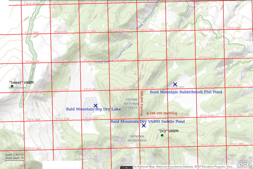 Topographic Map of Bald Mountain Big Dry Lake and nearby ponds; The National Map with contours, roads, perennial/ephemeral water bodies, forest cover, marsh, UTM grid, private land