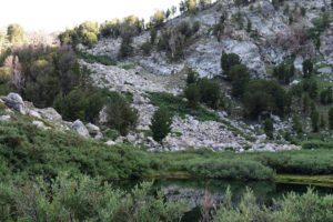 Scenic view of Above the Trail Pond 2022-07-16, #16; lacks fairy shrimp; Ruby Mountains Ranger District, Humboldt-Toiyabe National Forest, Ruby Mountains Wilderness