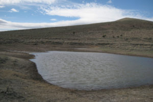 Scenic view of Austin Summit Ponds 2013-04-14, #01, with Mt. Prometheus in distance; has fairy shrimp, big pond and little pond; Austin Ranger District, Humboldt-Toiyabe National Forest