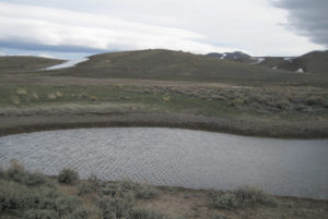 Scenic view of Austin Summit Ponds 2013-04-14, #02; has fairy shrimp, kidney pond; Austin Ranger District, Humboldt-Toiyabe National Forest