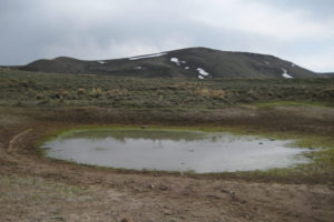 Scenic view of Austin Summit Ponds 2013-05-05, #07, big pond; has fairy shrimp; Austin Ranger District, Humboldt-Toiyabe National Forest