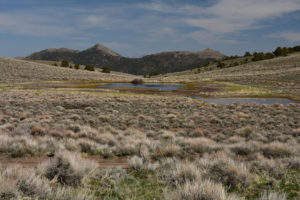 Scenic view of Austin Summit Ponds 2018-04-24, #01, stock pond and big pond; has fairy shrimp; Austin Ranger District, Humboldt-Toiyabe National Forest