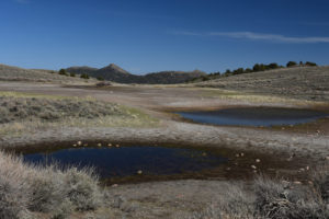 Scenic view of Austin Summit Ponds 2021-04-23, #01, little pond and big pond; has fairy shrimp; Austin Ranger District, Humboldt-Toiyabe National Forest