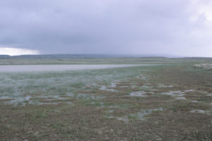 Scenic view of Avocet Lake 1987-05-17, #1724; has fairy shrimp; State of Wyoming