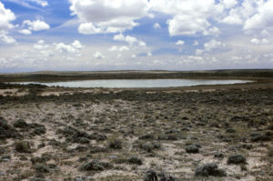 Scenic view of Big Bend Lost Creek Pond #1 1987-06-08, #2012; has fairy shrimp; Lander BLM Office