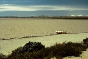 Scenic view of "Brannan Reservoir" 1993-06-12, #0514, with Wind River Mountains in distance; has fairy shrimp; Rock Springs BLM Office