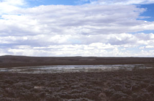 Scenic view of Bull Canyon Pond 1987-05-15, #1604; has fairy shrimp; Lander BLM Office