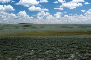 Scenic view of Bull Canyon Pond 1987-06-06, #1822; has fairy shrimp; Lander BLM Office