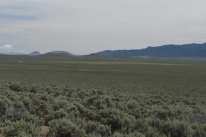 Scenic view of Burnt Cabin Summit Playa Lake 2019-06-07, #08, with Shoshone Range in distance; has fairy shrimp; Mount Lewis BLM Office