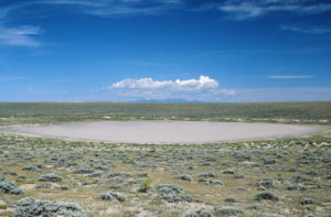 Scenic view of Chinook Pond 1987-06-28, #2626; had fairy shrimp earlier; Rock Springs BLM Office