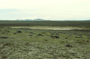 Scenic view of Chinook Pond 1993-06-12, #0507; lacks fairy shrimp; Rock Springs BLM Office