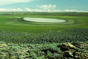 Scenic view of "Coyote Lake" 1993-06-11, #0502; has fairy shrimp; Lander BLM Office